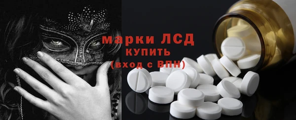 сатива Инсар