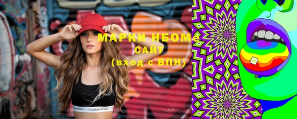 сатива Инсар