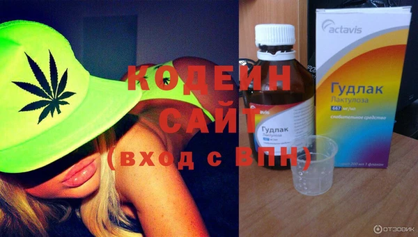 сатива Инсар
