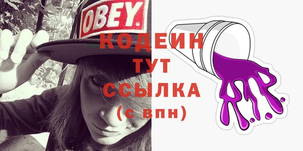 сатива Инсар