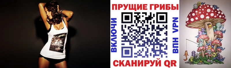 Псилоцибиновые грибы Cubensis  купить наркотик  Каргополь 