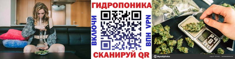 Марихуана семена  мега рабочий сайт  Каргополь 